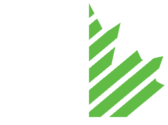 Half white and half green maple leaf with diagonal green stripes on the right side.